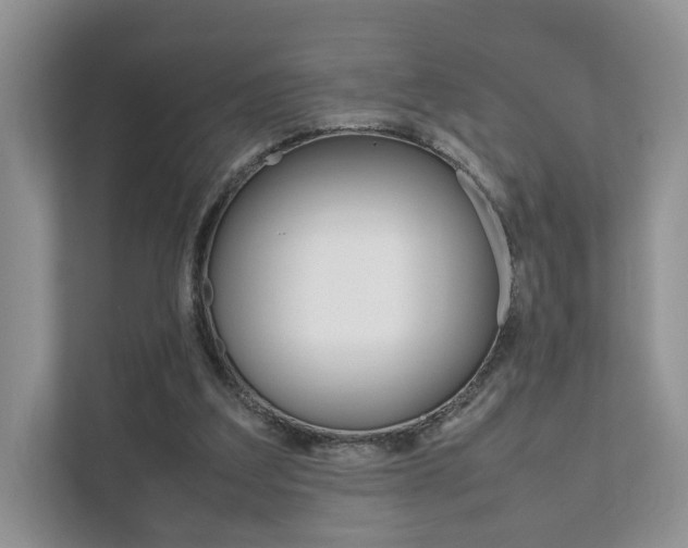 X0000111880203200907231434