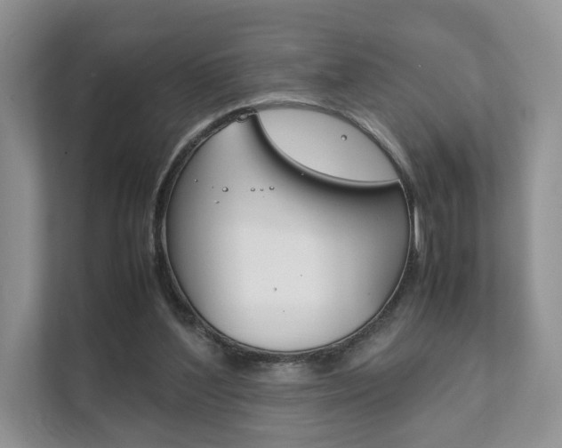 X0000111880204200907231434