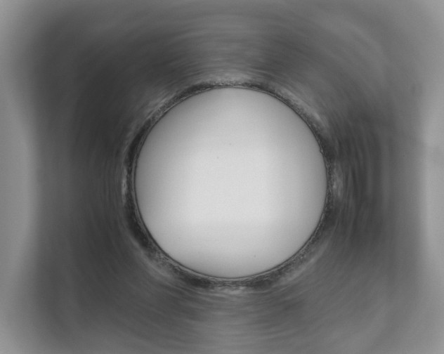X0000111880206200907231434