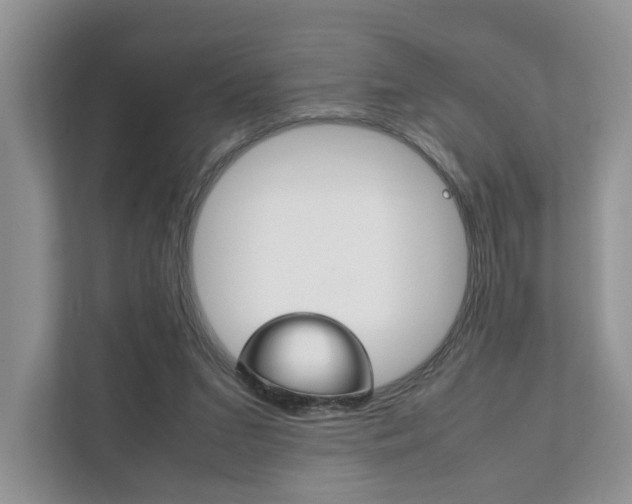 X0000111880207200907231434