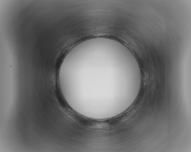 X0000111880210200907231434
