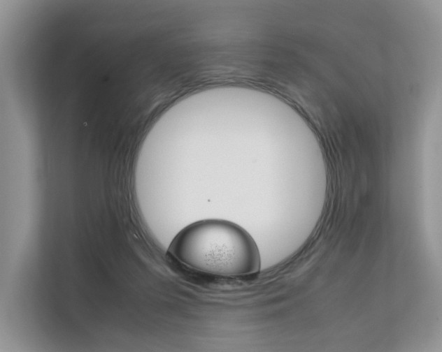 X0000111880215200907231434