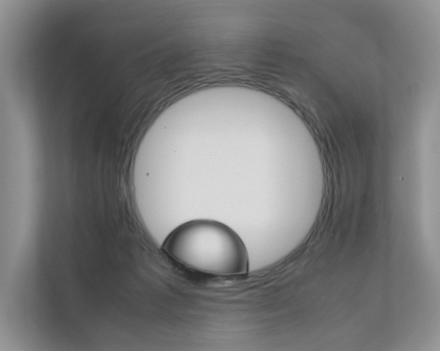X0000111880221200907231433
