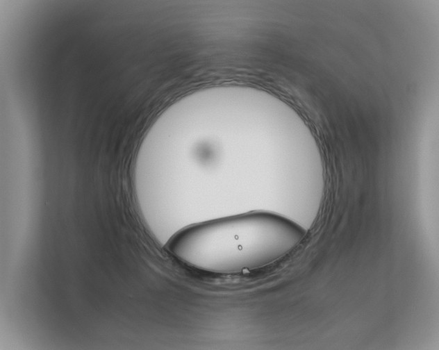 X0000111880225200907231433