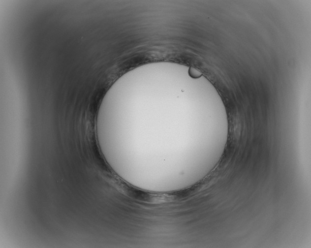 X0000111880226200907231433