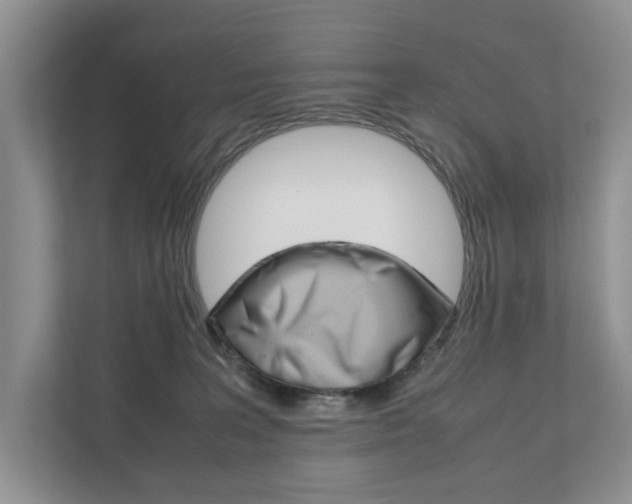 X0000111880227200907231433