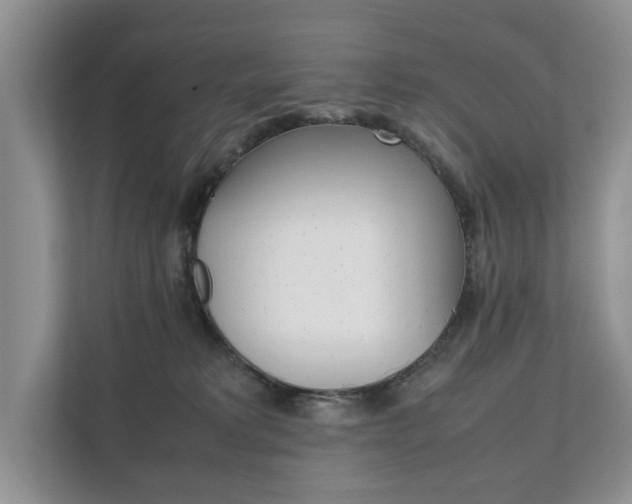 X0000111880229200907231433