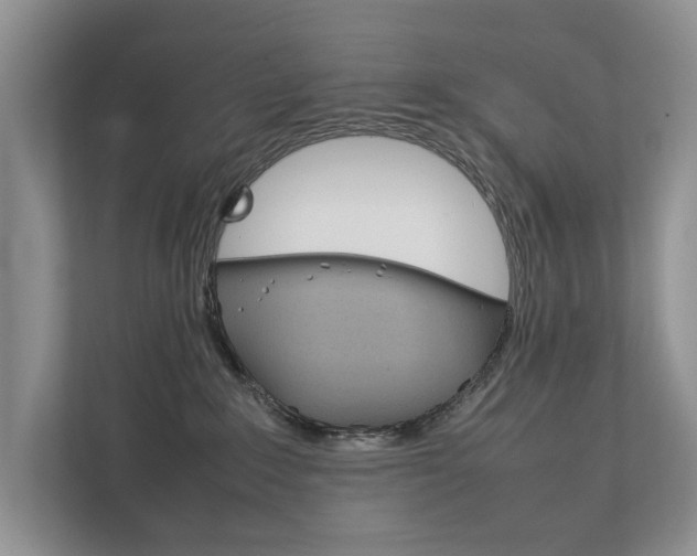 X0000111880235200907231433