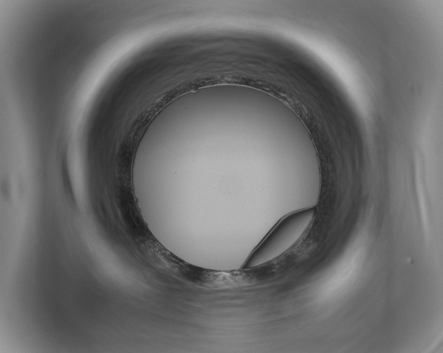 X0000111880239200907231433