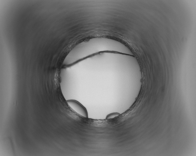 X0000111880240200907231433