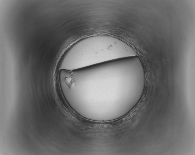 X0000111880242200907231433