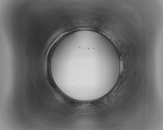 X0000111880243200907231433