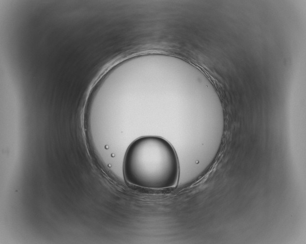 X0000111880244200907231433