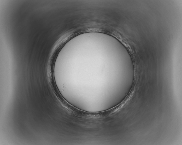 X0000111880245200907231433