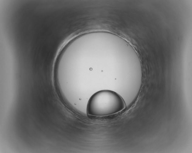 X0000111880248200907231433