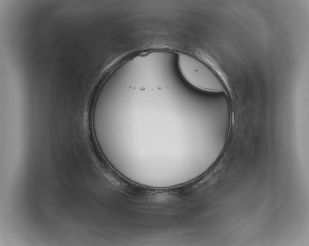 X0000111880249200907231433