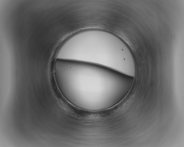 X0000111880252200907231433