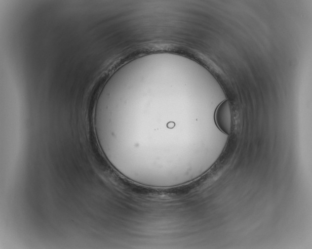 X0000111880254200907231433
