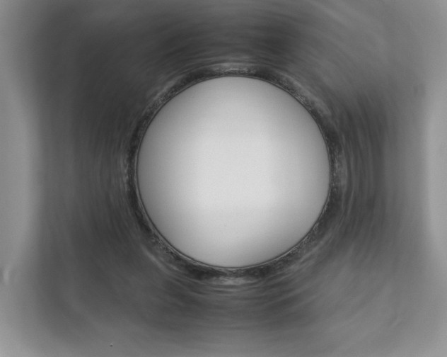 X0000111880255200907231433