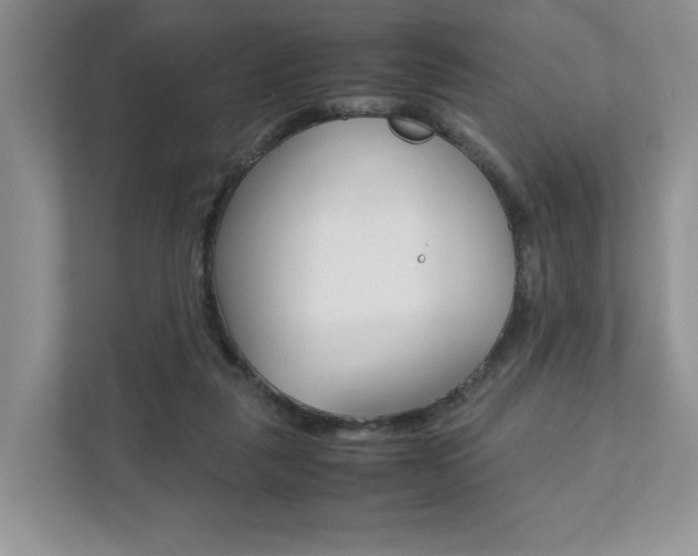 X0000111880259200907231433