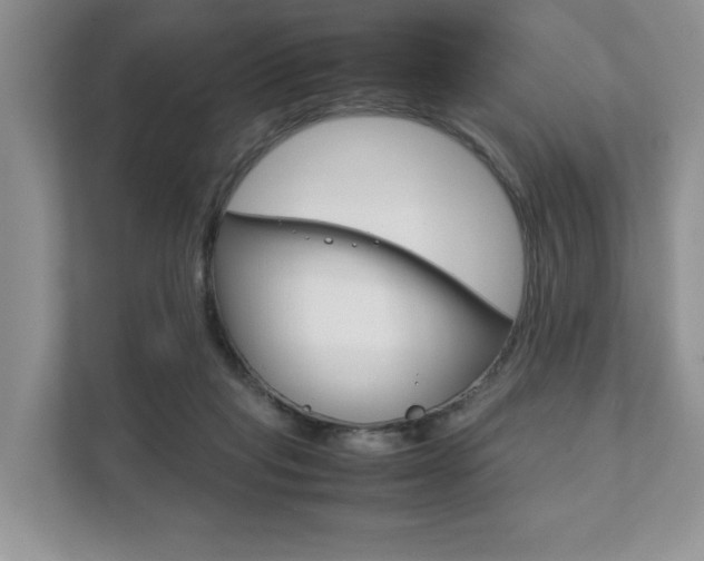X0000111880261200907231433