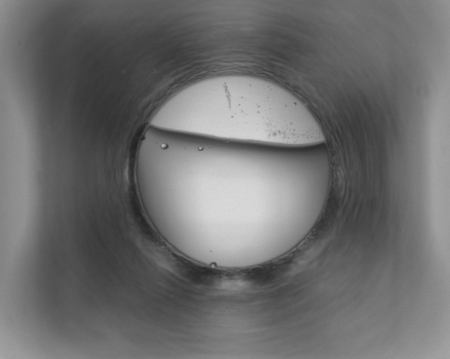 X0000111880262200907231433