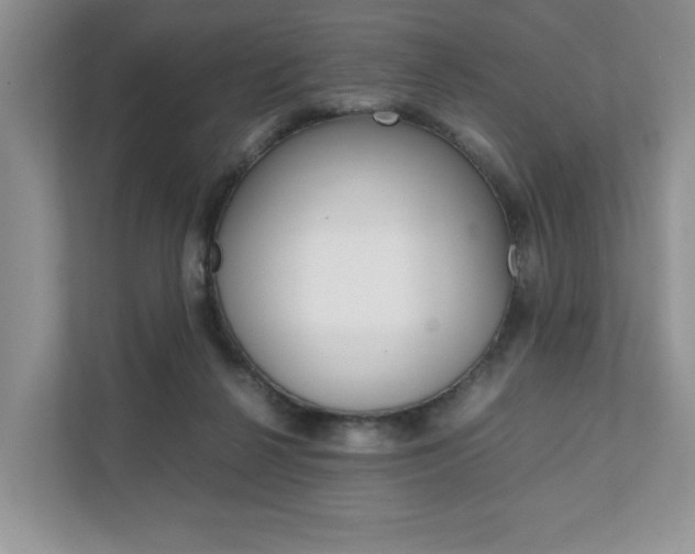 X0000111880264200907231433