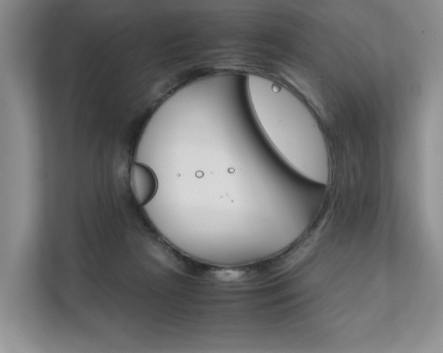 X0000111880265200907231433