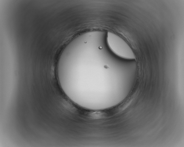 X0000111880269200907231433