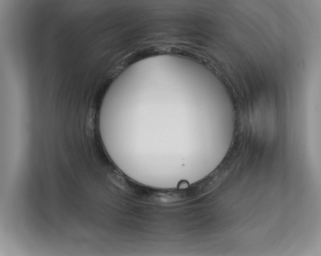 X0000111880275200907231433