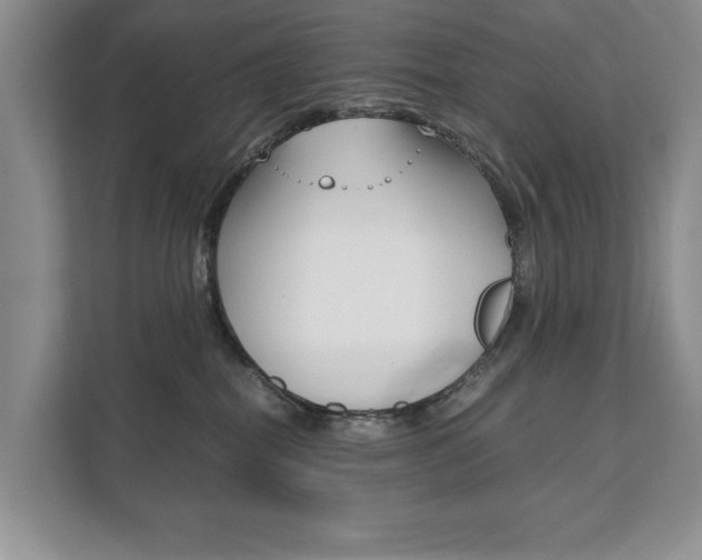 X0000111880282200907231433