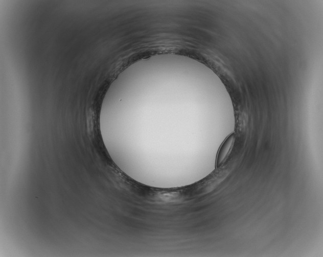 X0000111880283200907231433