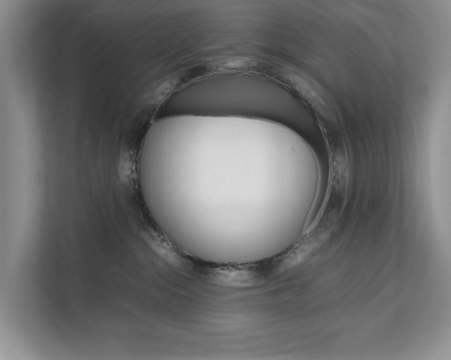 X0000111880284200907231433