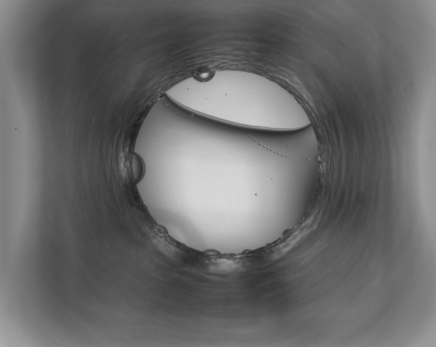 X0000111880285200907231433