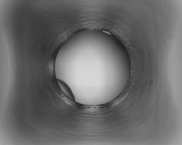 X0000111880288200907231433