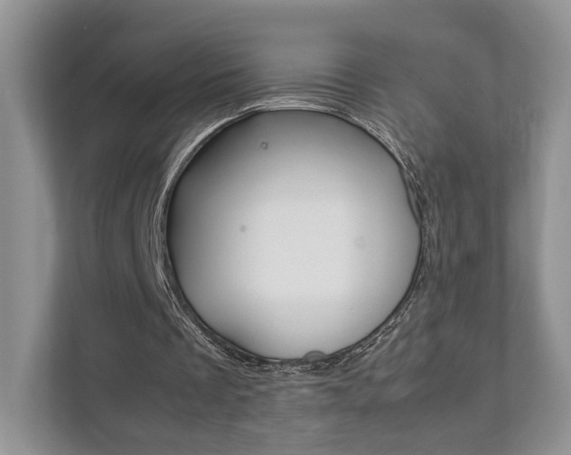 X0000111880289200907231433