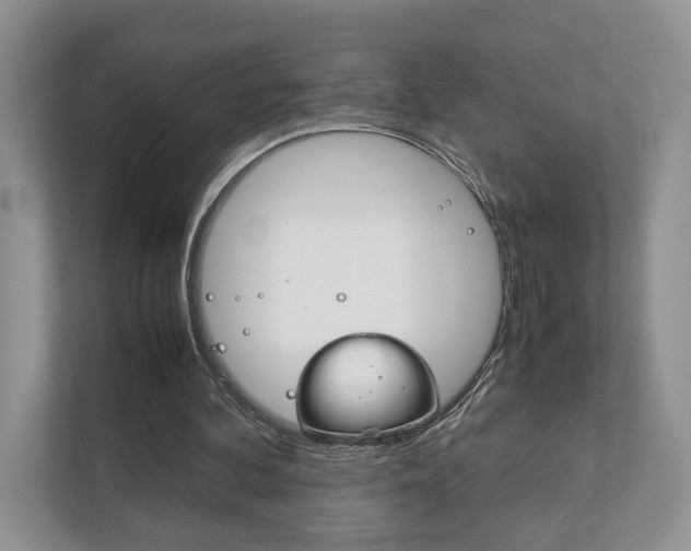 X0000111880292200907231432