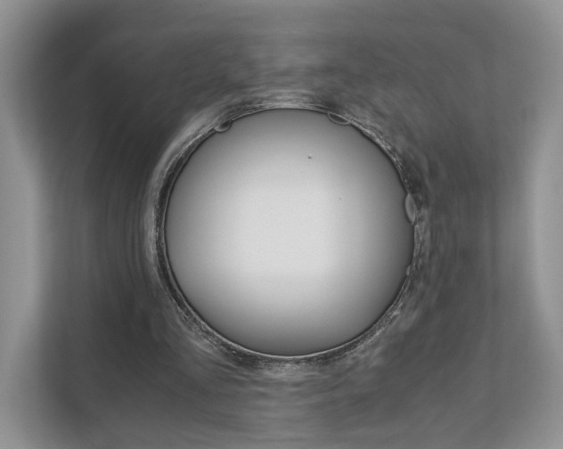 X0000111880293200907231432
