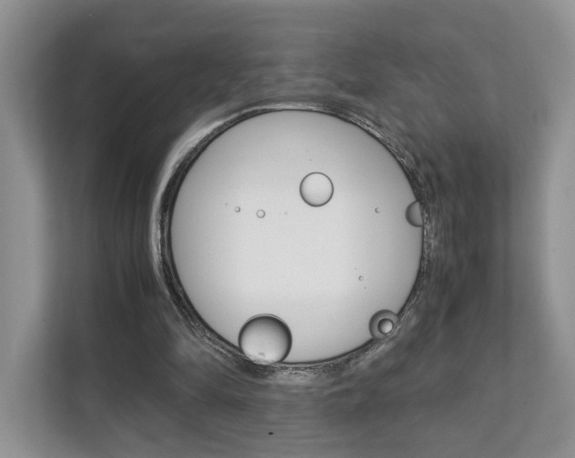 X0000111880294200907231432