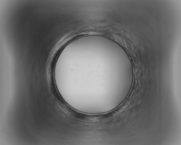 X0000111880295200907231432