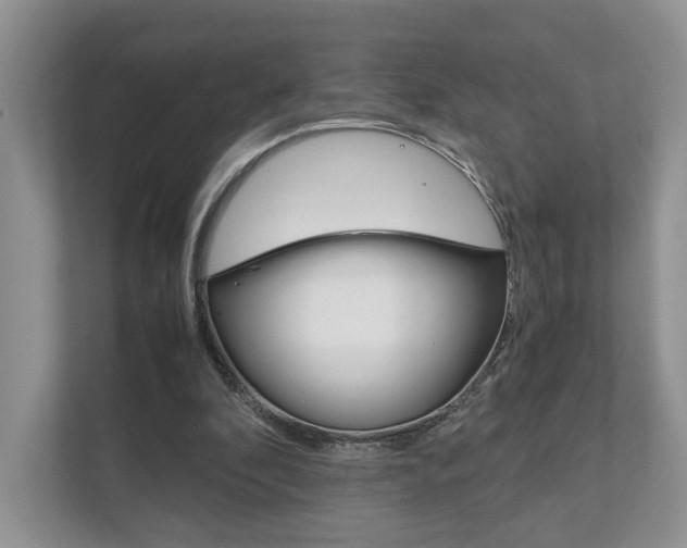 X0000111880296200907231432
