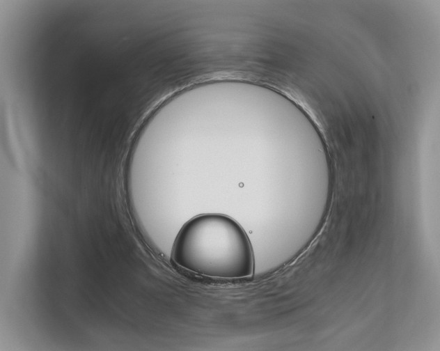 X0000111880297200907231432