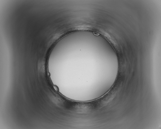 X0000111880299200907231432