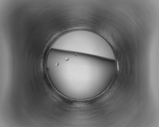 X0000111880300200907231432