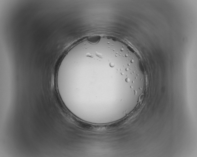 X0000111880301200907231432