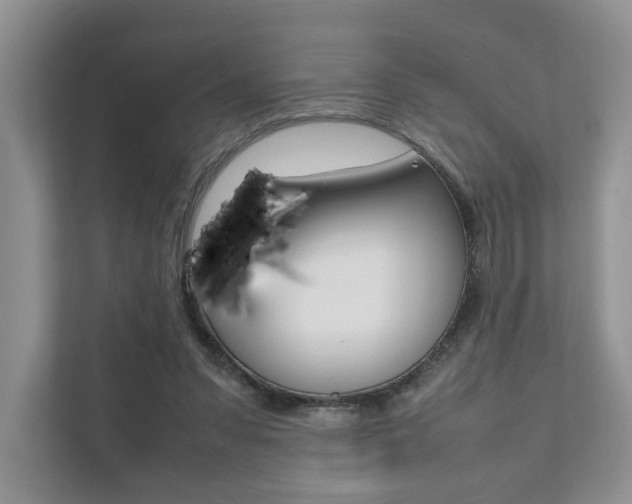 X0000111880303200907231432