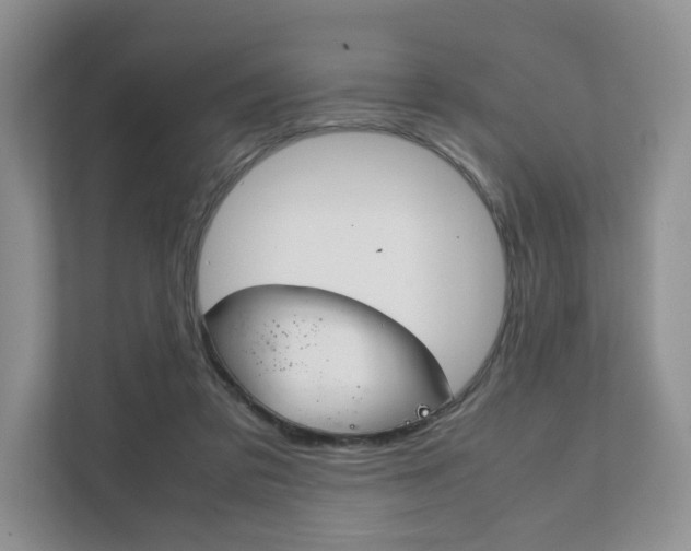 X0000111880309200907231432