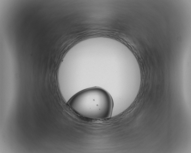 X0000111880325200907231432