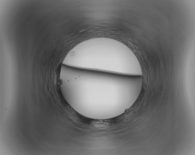 X0000111880331200907231432