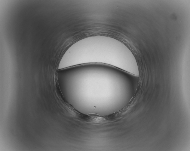 X0000111880333200907231432